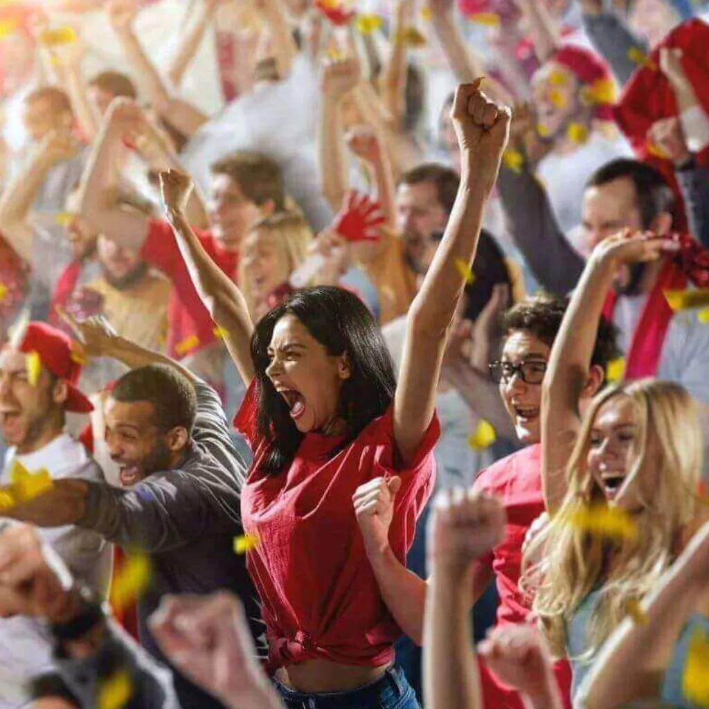 Sporting Events & Concert Limousine Service in Muskoka